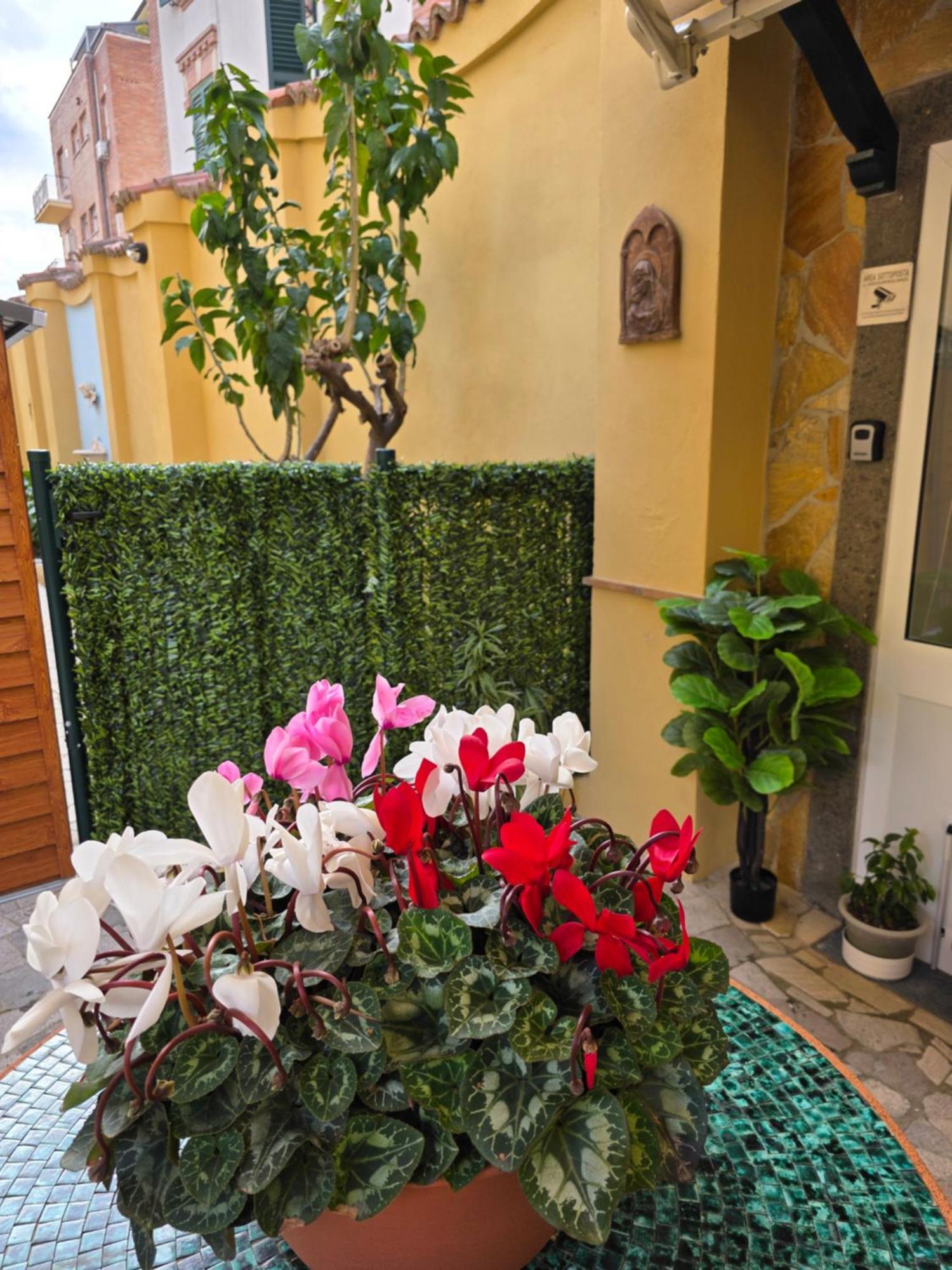 Guesthouse Aurora A.E. Ρώμη Εξωτερικό φωτογραφία